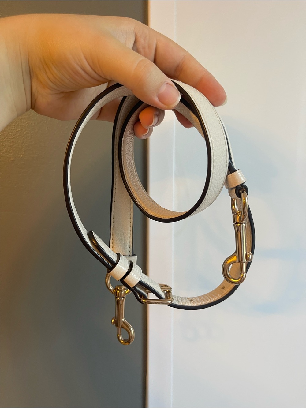 Coach replacement strap